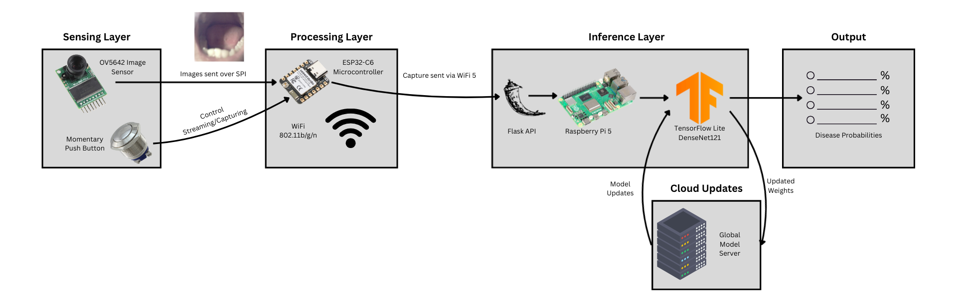 System diagram: an OV5642 image sensor and push button feed an ESP32-C6 over SPI, which sends the capture over WiFi to a Raspberry Pi 5 running a TensorFlow Lite DenseNet121 model through a Flask API, which outputs disease probabilities and exchanges model updates with a global model server.